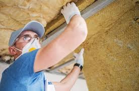 Best Insulation Removal  in Brundidge, AL